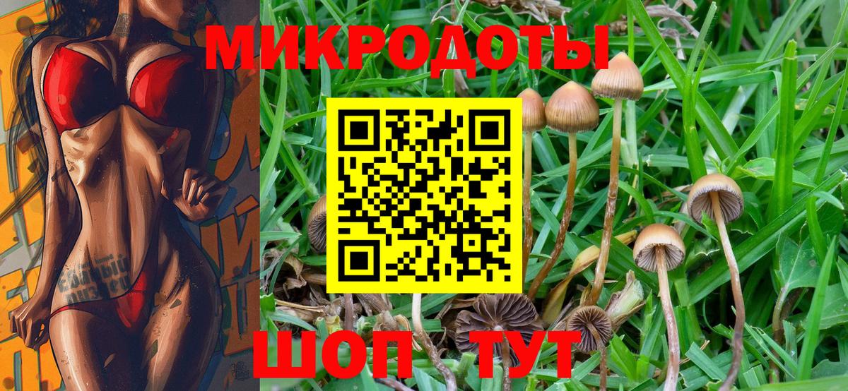 Псилоцибиновые грибы Cubensis Знаменск