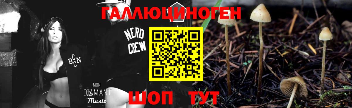 Псилоцибиновые грибы мицелий  Вход с VPN  Псилоцибиновые грибы Psilocybine cubensis  Знаменск 